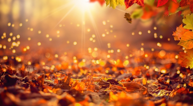 autumn-luxury-jewelry-watches autumn-luxury-jewelry-watches