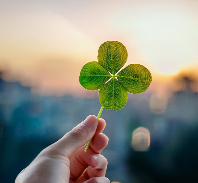 gluecksbringer-kleeblatt-neujahr-mob