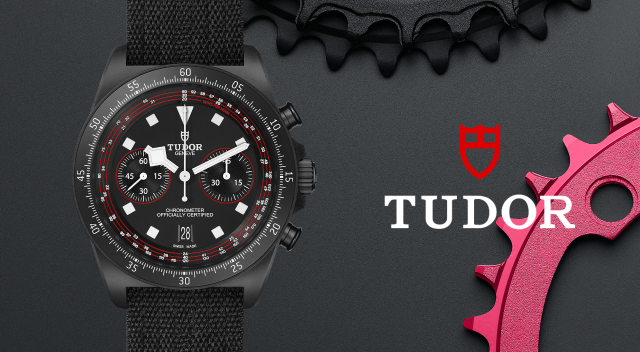 Tudor-banner (26)