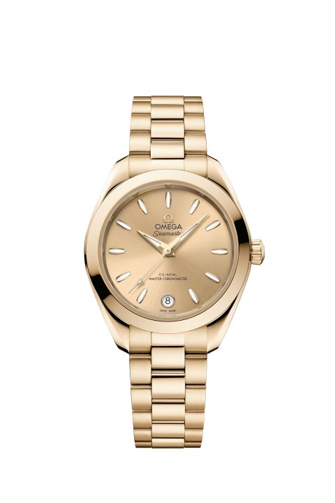 omega-seamaster-aquaterra