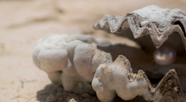 Header-Perlenzauber-1280x704 Header-Perlenzauber-1280x704