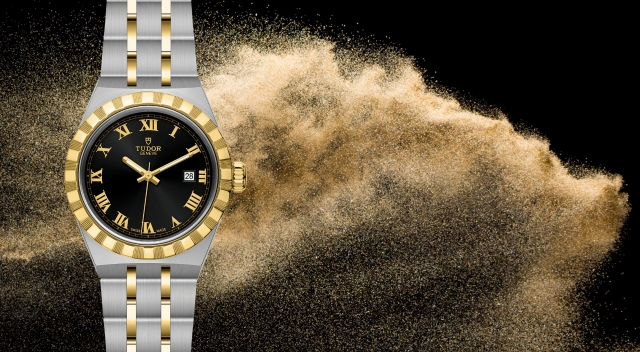 Tudor-banner (7) Tudor-banner (7)